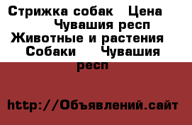 Стрижка собак › Цена ­ 500 - Чувашия респ. Животные и растения » Собаки   . Чувашия респ.